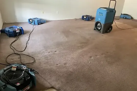 Portable air movers and a dehumidifier stand across the carpet in a room