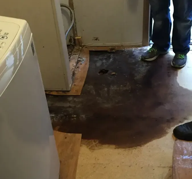 Darkened flooring lies beside laundry appliances and work shoes