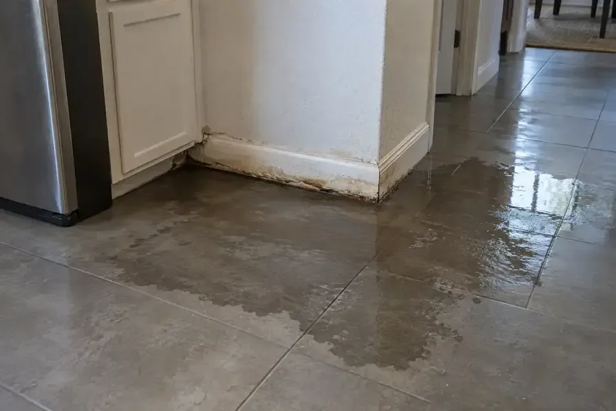 Water spread over kitchen floor tiles beside an appliance