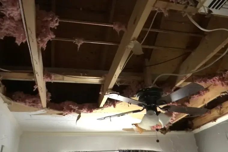An opened damaged ceiling exposing joists and wet insulation above the room